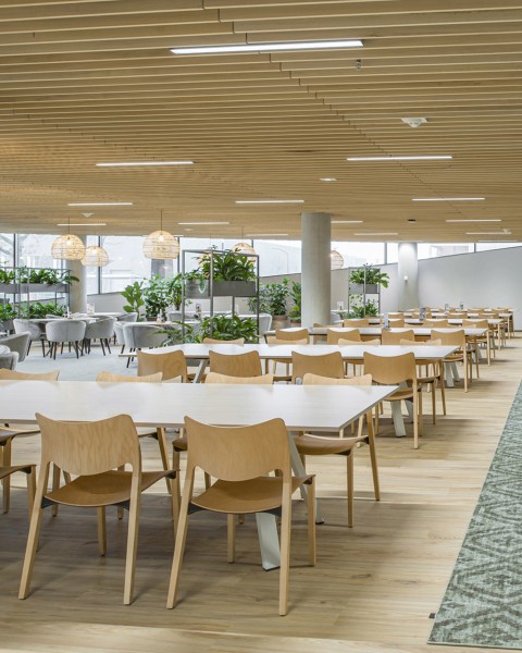 Stua Laclasica Stuhl