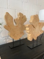 Zitronenbaum-Schnitt