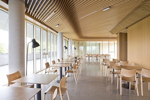 Stua Laclasica Stuhl